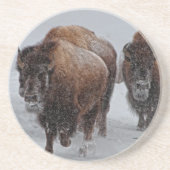 イエローストーンのバイソン コースター (正面)