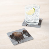 イエローストーンのバイソン スクエアペーパーコースター (インサイチュ)