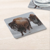 イエローストーンのバイソン スクエアペーパーコースター (アングル)