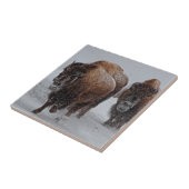 イエローストーンのバイソン タイル (側面)