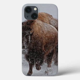 イエローストーンのバイソン iPhone 13ケース