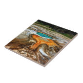 イエローストーンの上昇温暖気流のプール タイル (側面)