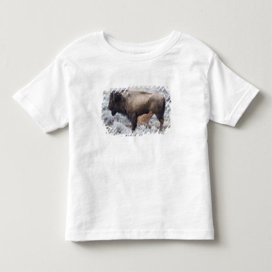 イエローストーンの子牛を世話する牛 トドラーTシャツ (正面)
