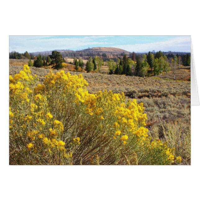 イエローストーンの眺望 (正面横)