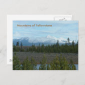 イエローストーンの郵便はがきの山 ポストカード (正面/裏面)
