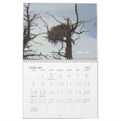 イエローストーンの野性生物2008のカレンダー カレンダー (2月 2027)