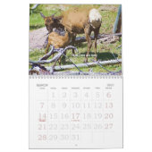 イエローストーンの野性生物2008のカレンダー カレンダー (3月 2027)