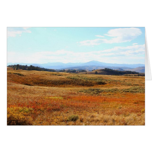 イエローストーンの金褐色の田舎 (正面横)