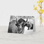 イエローストーンの霜の降りたなバイソン カード (黄色い花)