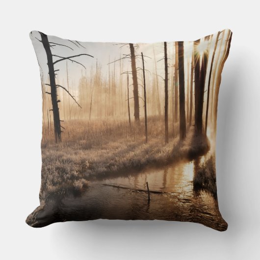 イエローストーンの霜の降りたな朝 クッション (正面)