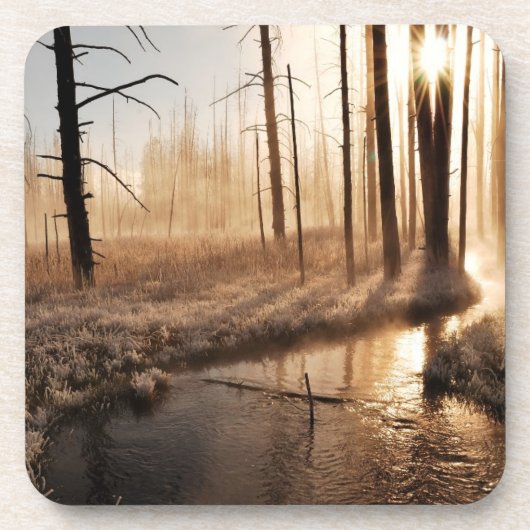 イエローストーンの霜の降りたな朝 コースター (正面)