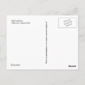 イエローストーンはがき ポストカード (裏面)