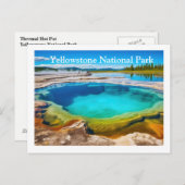 イエローストーンはがき ポストカード (正面/裏面)