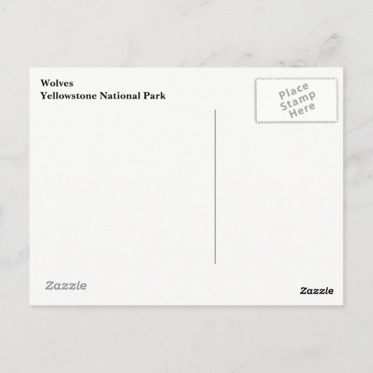 イエローストーンウォルフスポストカード ポストカード (裏面)