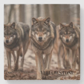 イエローストーンウルフサンドストーンコースター ストーンコースター (正面)