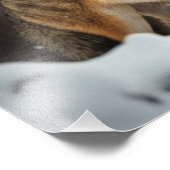 イエローストーンウルフフォトプリント フォトプリント            (角)