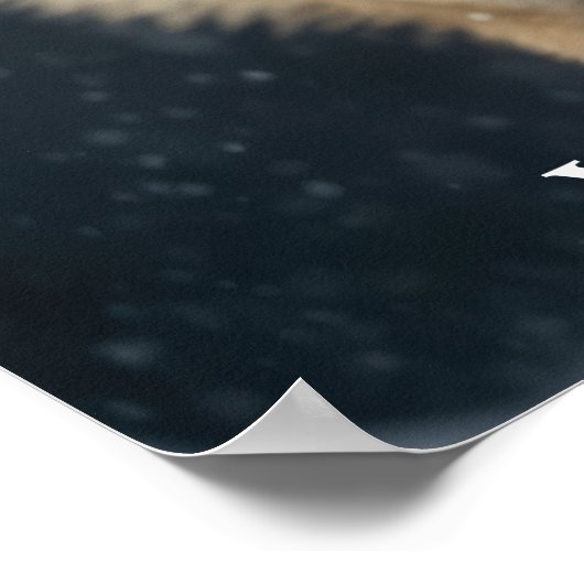 イエローストーンウルフポスター ポスター (角)