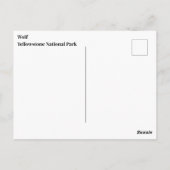 イエローストーンウルフポストカード ポストカード (裏面)