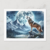 イエローストーンウルフポストカード ポストカード (正面)