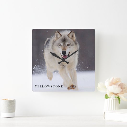 イエローストーンウルフ スクエア壁時計 (ホーム)