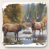 イエローストーンエルク飲料用コースター コースター (正面)