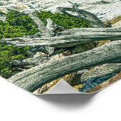 イエローストーンエンジェルテラス国立公園 ポスター (角)