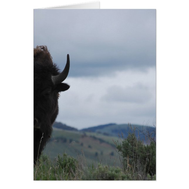 イエローストーンガーディアン (正面)