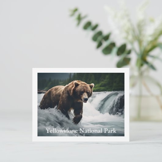 イエローストーングリズリーベアポストカード ポストカード (スタンド正面)