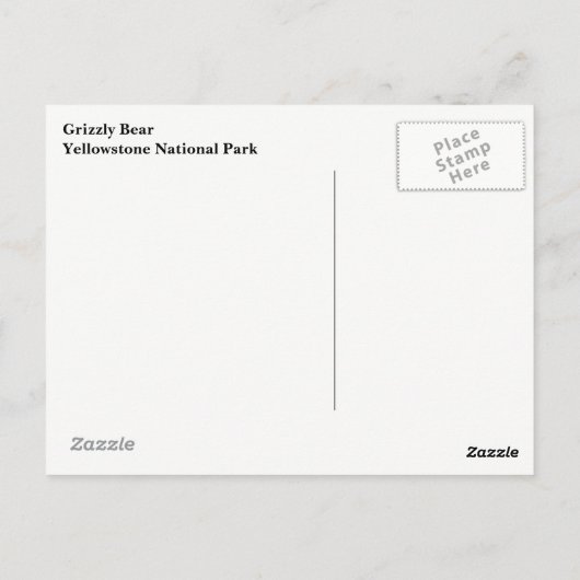 イエローストーングリズリーベアポストカード ポストカード (裏面)