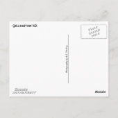 イエローストーンコラージュ3 ポストカード (裏面)