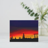 イエローストーンサンセット ポストカード (スタンド正面)
