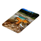 イエローストーンサーマルプール マグネット (左側)