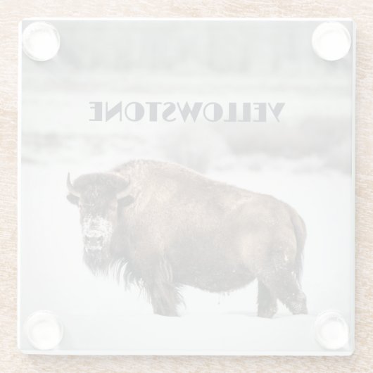 イエローストーンスノーウィー水牛のお土産ガラスコースター ガラスコースター (裏面)