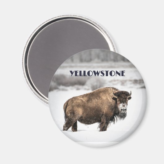 イエローストーンスノーウィー水牛のお土産マグネット マグネット (正面/裏面)