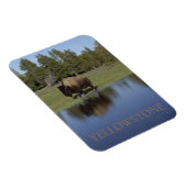 イエローストーンナショナルパークビソン マグネット (右側)