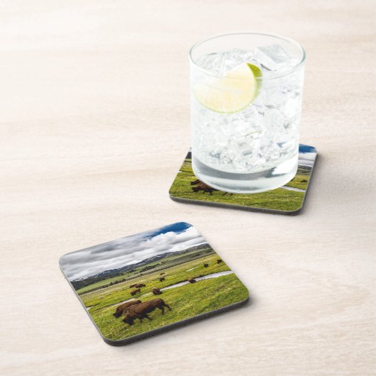 イエローストーンバッファローコースターセット コースター (右側)