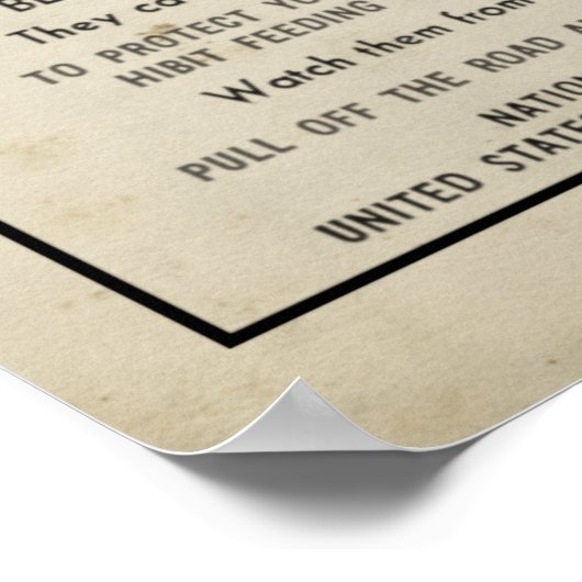 イエローストーンパーク1959危険なクマ ポスター (角)