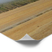 イエローストーンビソンポスター ポスター (角)