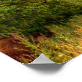 イエローストーンビソン ポスター (角)