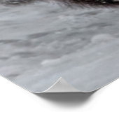 イエローストーンビソン ポスター (角)