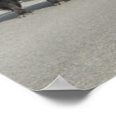 イエローストーンビソン ポスター (角)