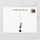 イエローストーンビソン ポストカード (裏面)