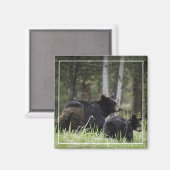 イエローストーンブラックベアーマグネット マグネット (正面/裏面)