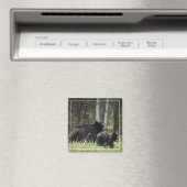 イエローストーンブラックベアーマグネット マグネット (インサイチュ (食洗機))