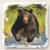 イエローストーンベア コースター (正面)