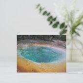 イエローストーンホット春 ポストカード (スタンド正面)