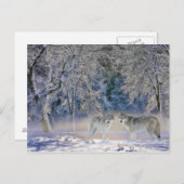 イエローストーンポストカードの狼 ポストカード (正面/裏面)