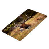 イエローストーンマグネットエルク マグネット (左側)