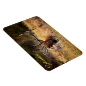 イエローストーンマグネットエルク マグネット (右側)