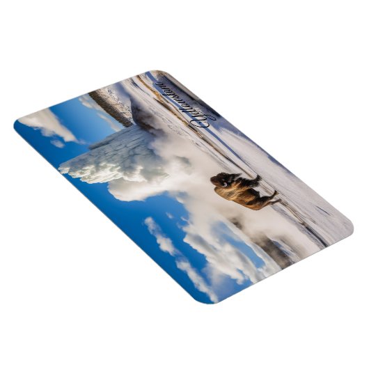 イエローストーンマグネットバッファローゲイザー マグネット (右側)